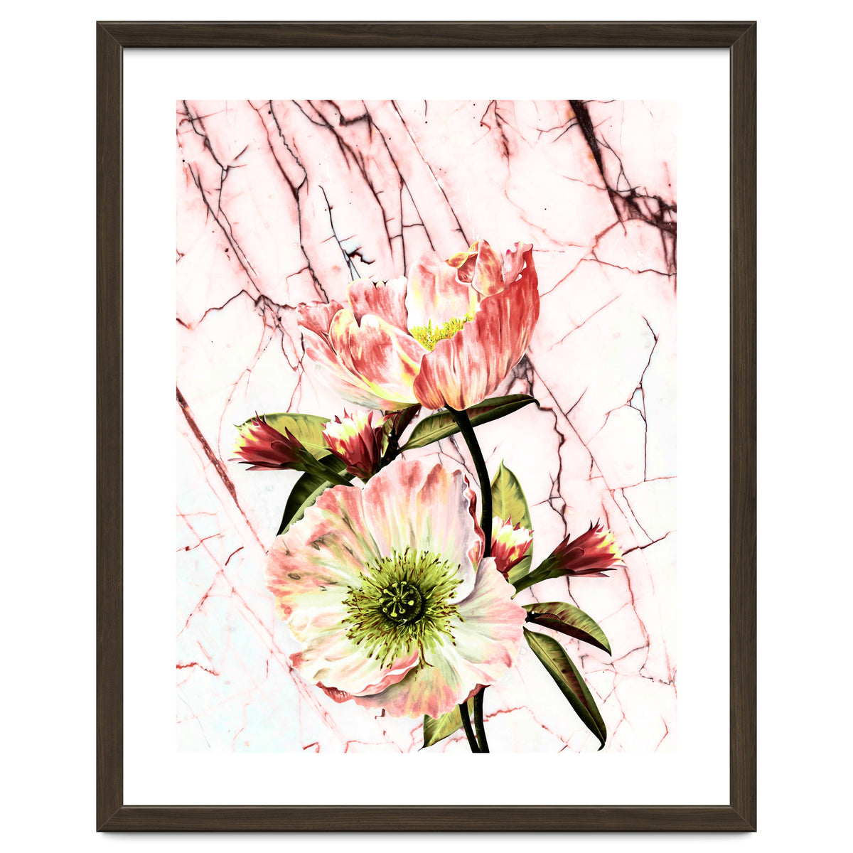 Flowering on pink marble