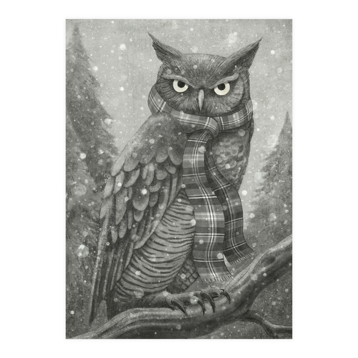 Winter Owl (Print Only)