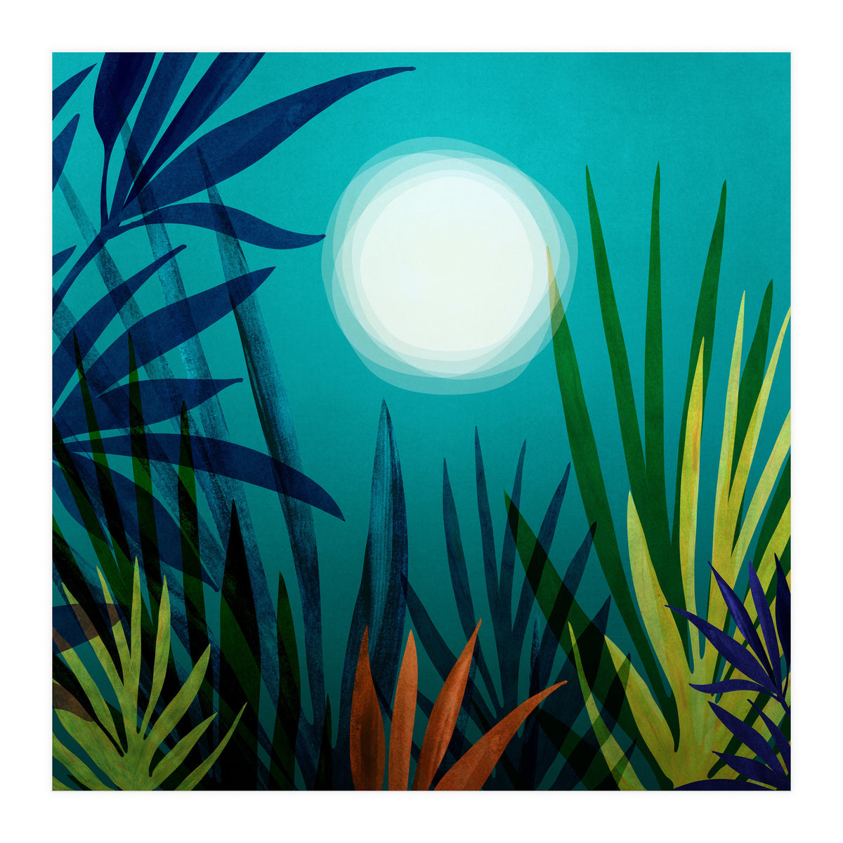 Midnight In The Jungle (Print Only)