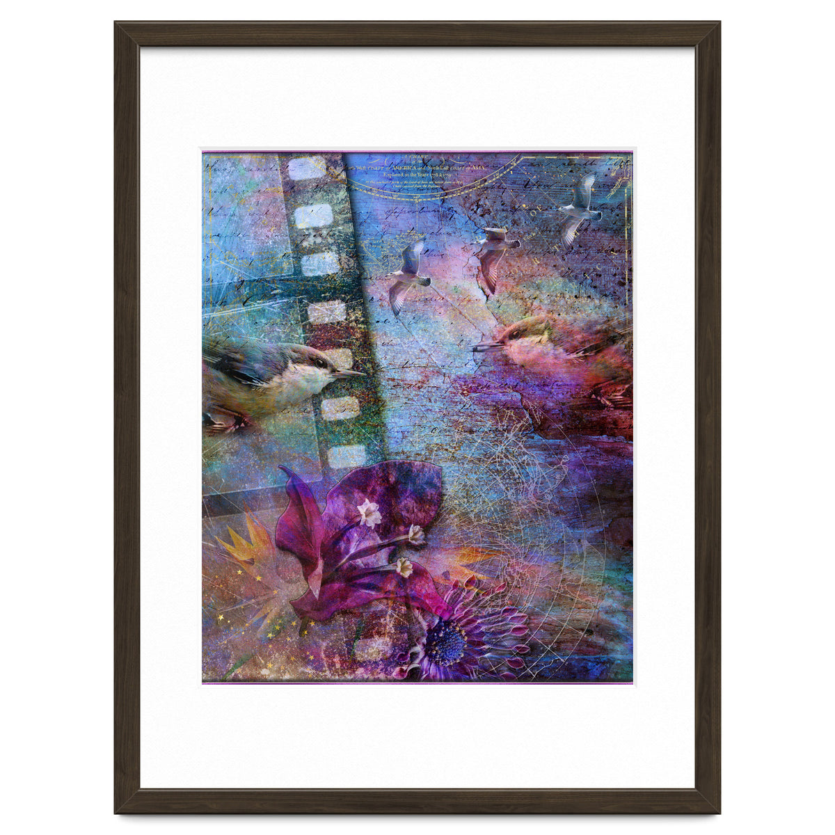 Watching the Wild World