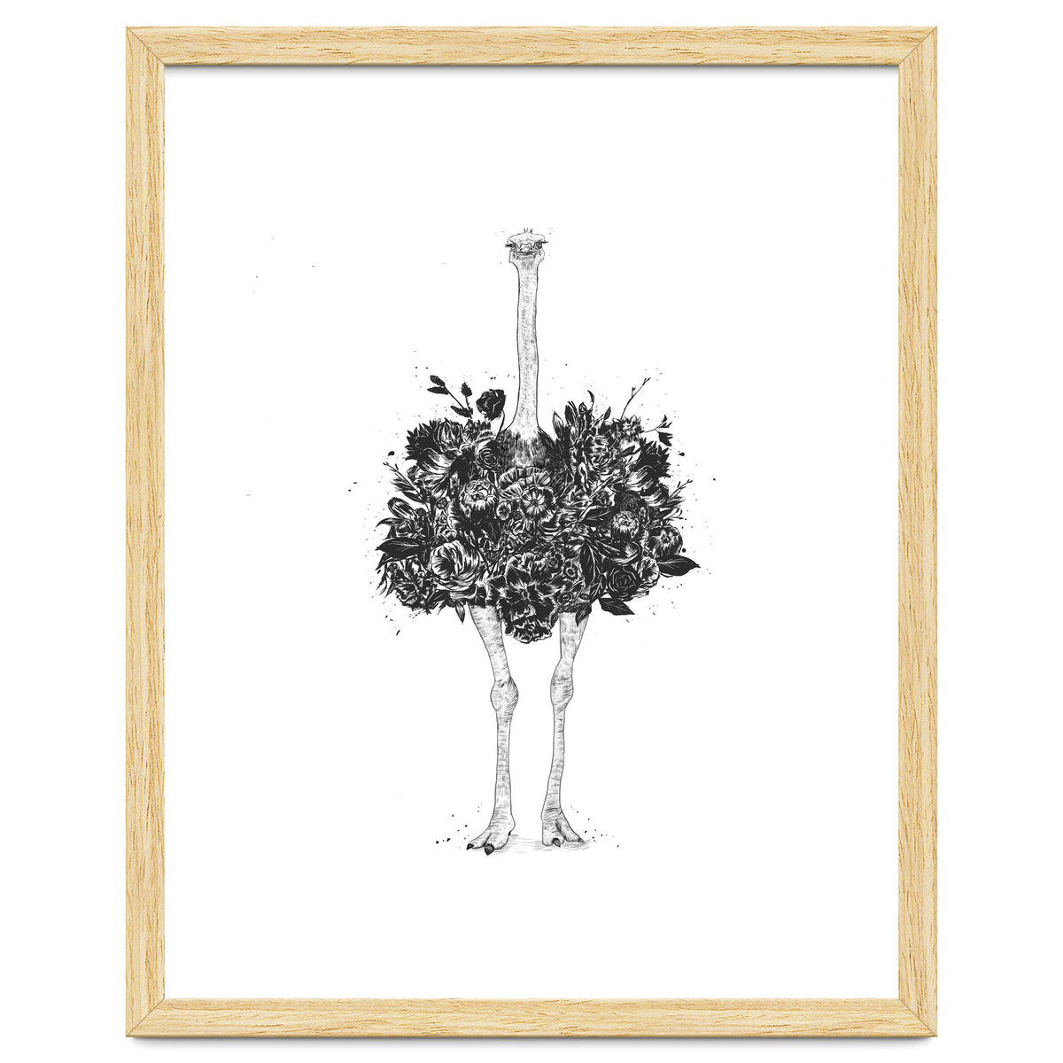 Floral Ostrich