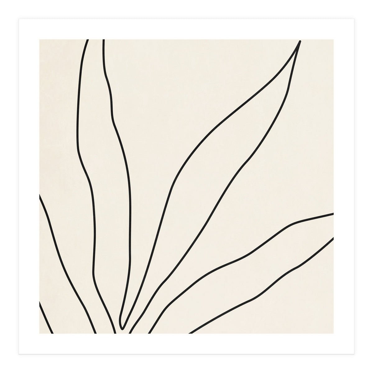 LEAF IN LINE 02 (Print Only)