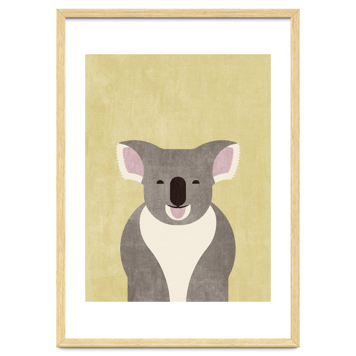 FAUNA / Koala