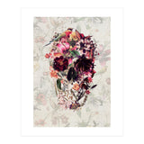 New Skull Light (Print Only) thumbnail