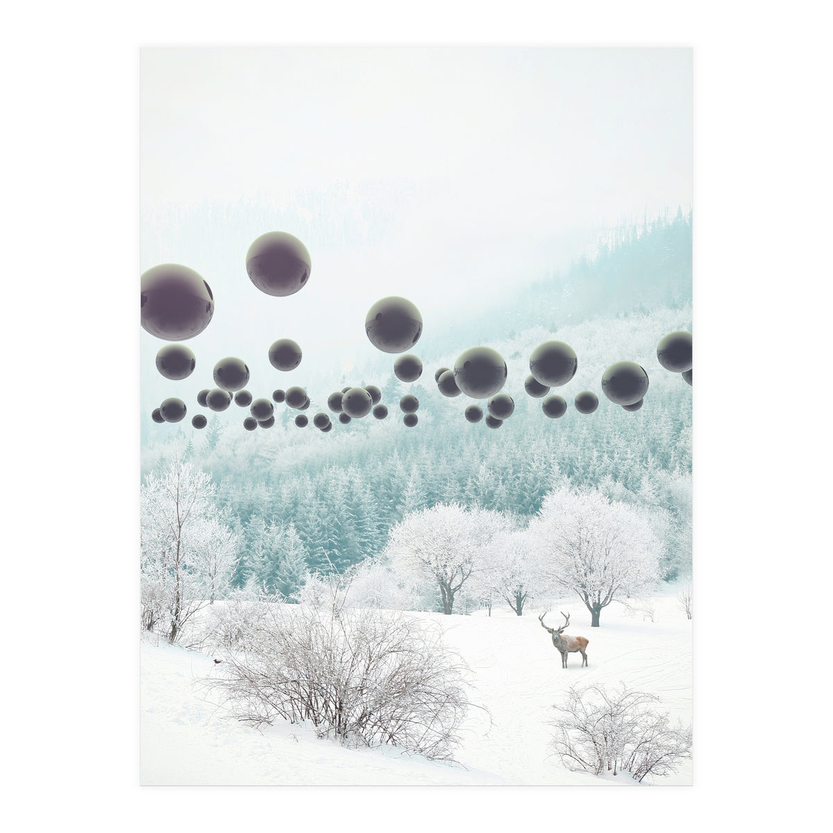 Forest Phantom (Print Only)