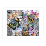 Butterfly Wings Collage (Print Only) thumbnail
