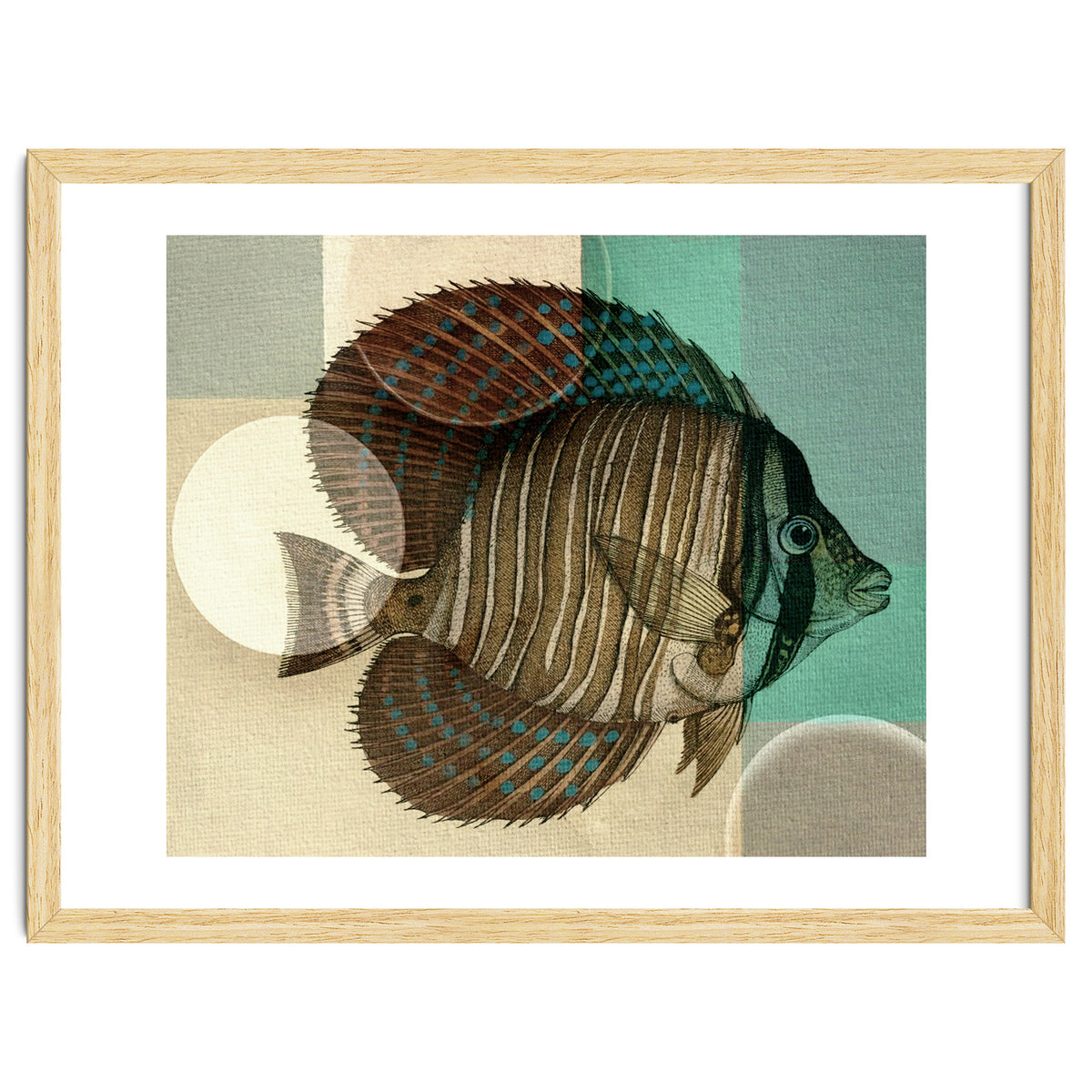 Fish Between Circles 4