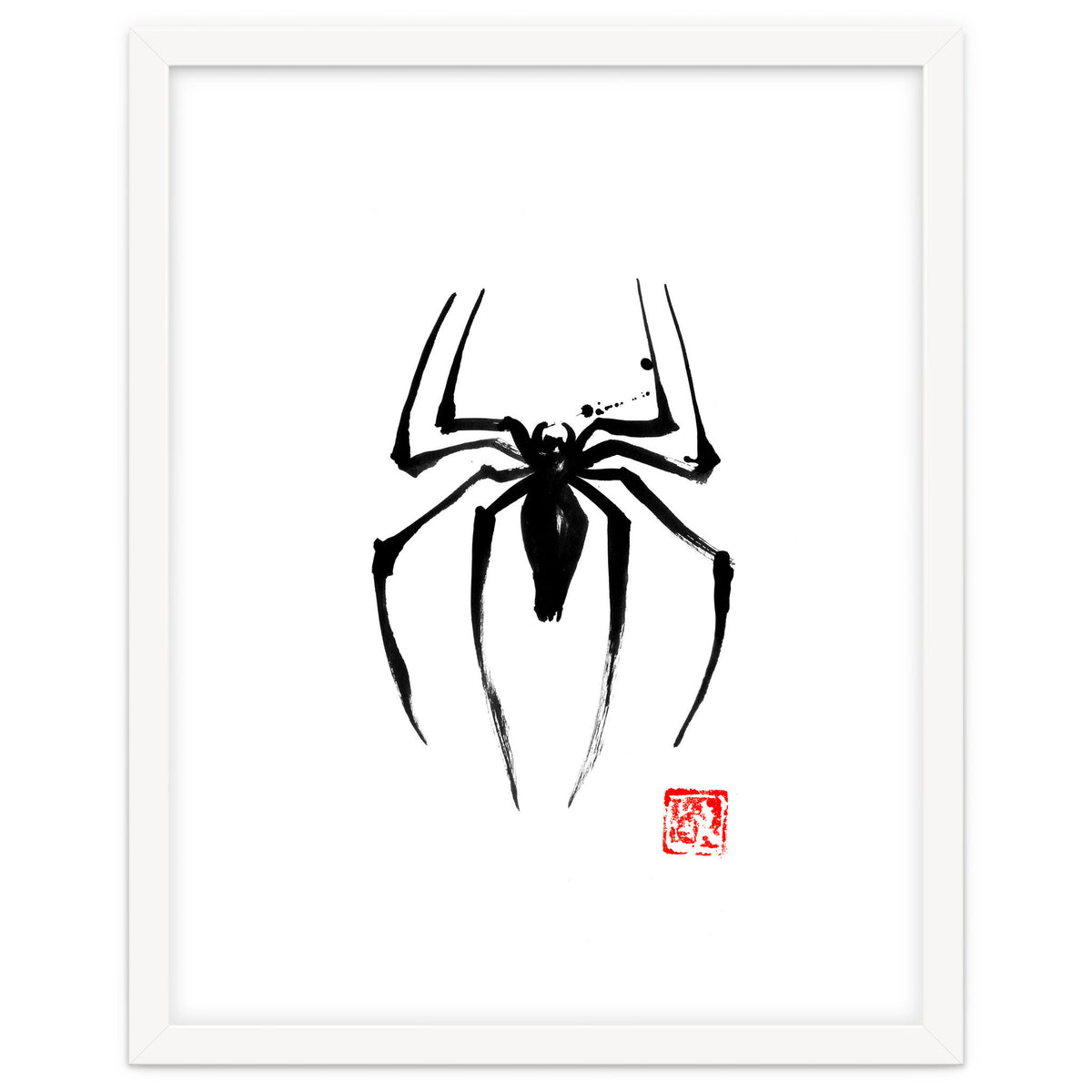 Spider