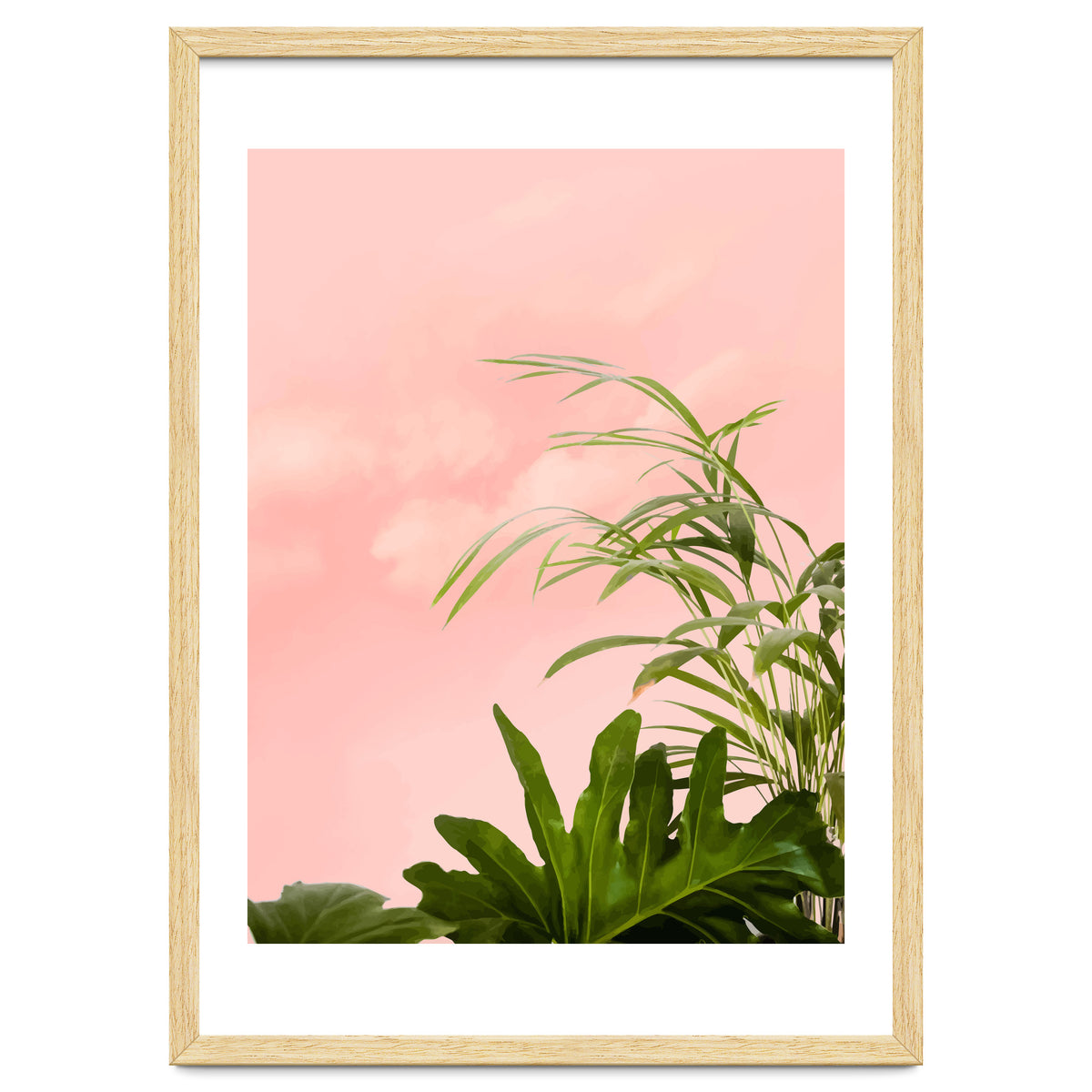Minimal Botanical