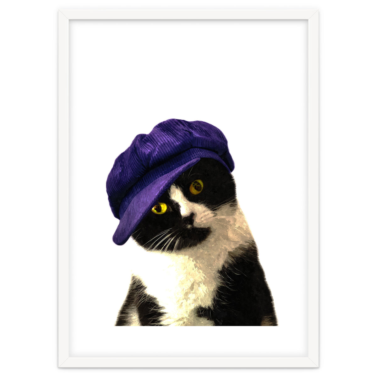 Cat Blue Hat
