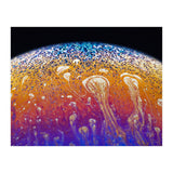 Soap Bubble  (Print Only) thumbnail