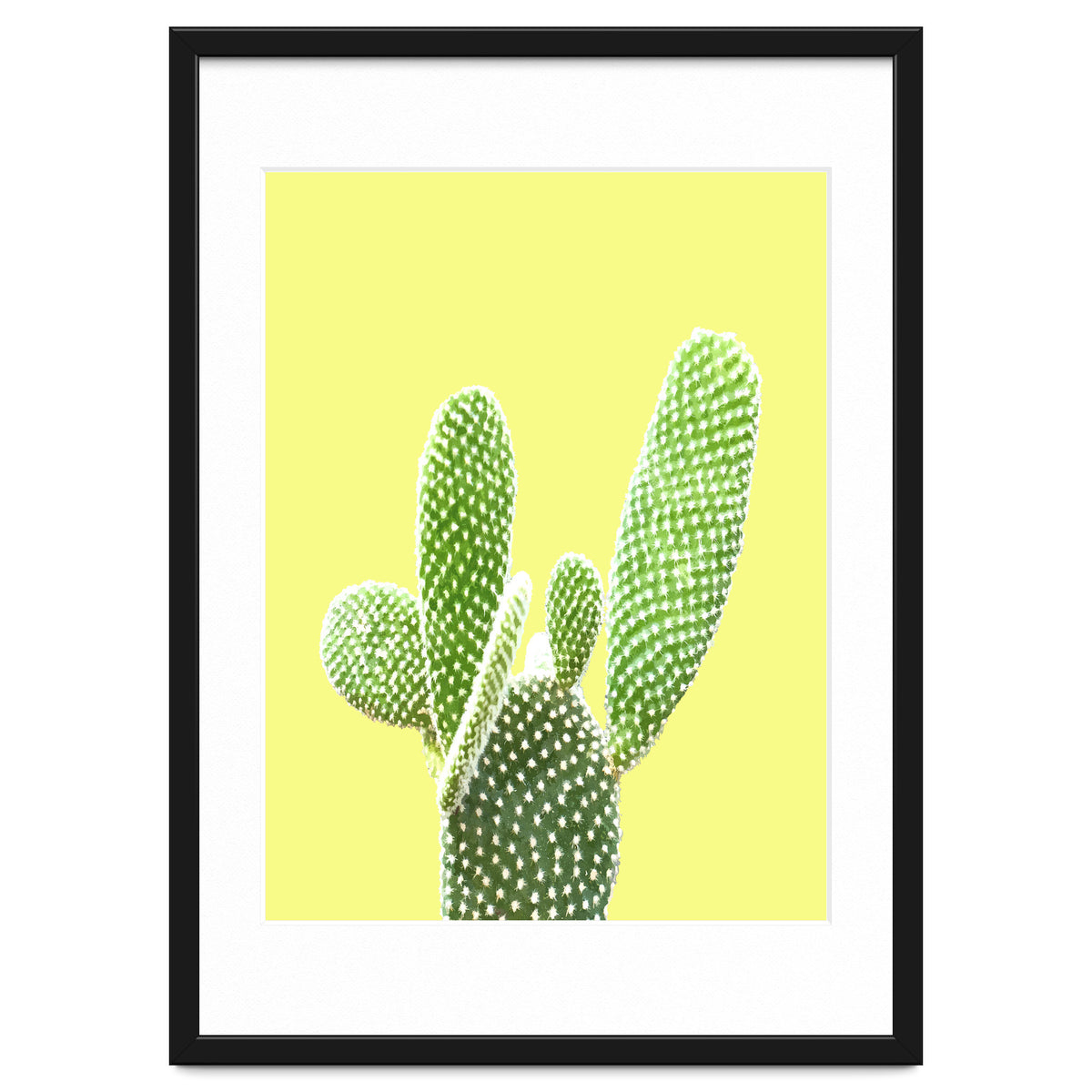 Cactus Yellow Background