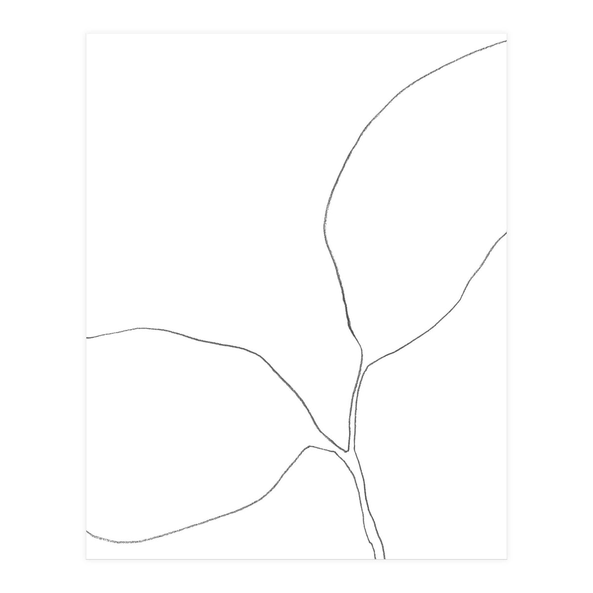 Seedling Leaning Left (Print Only)