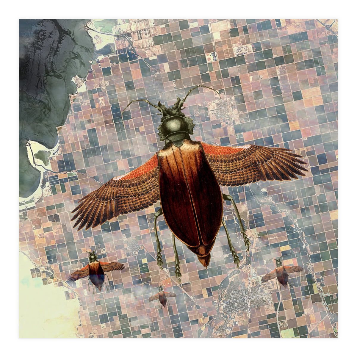 Flying High (Print Only)