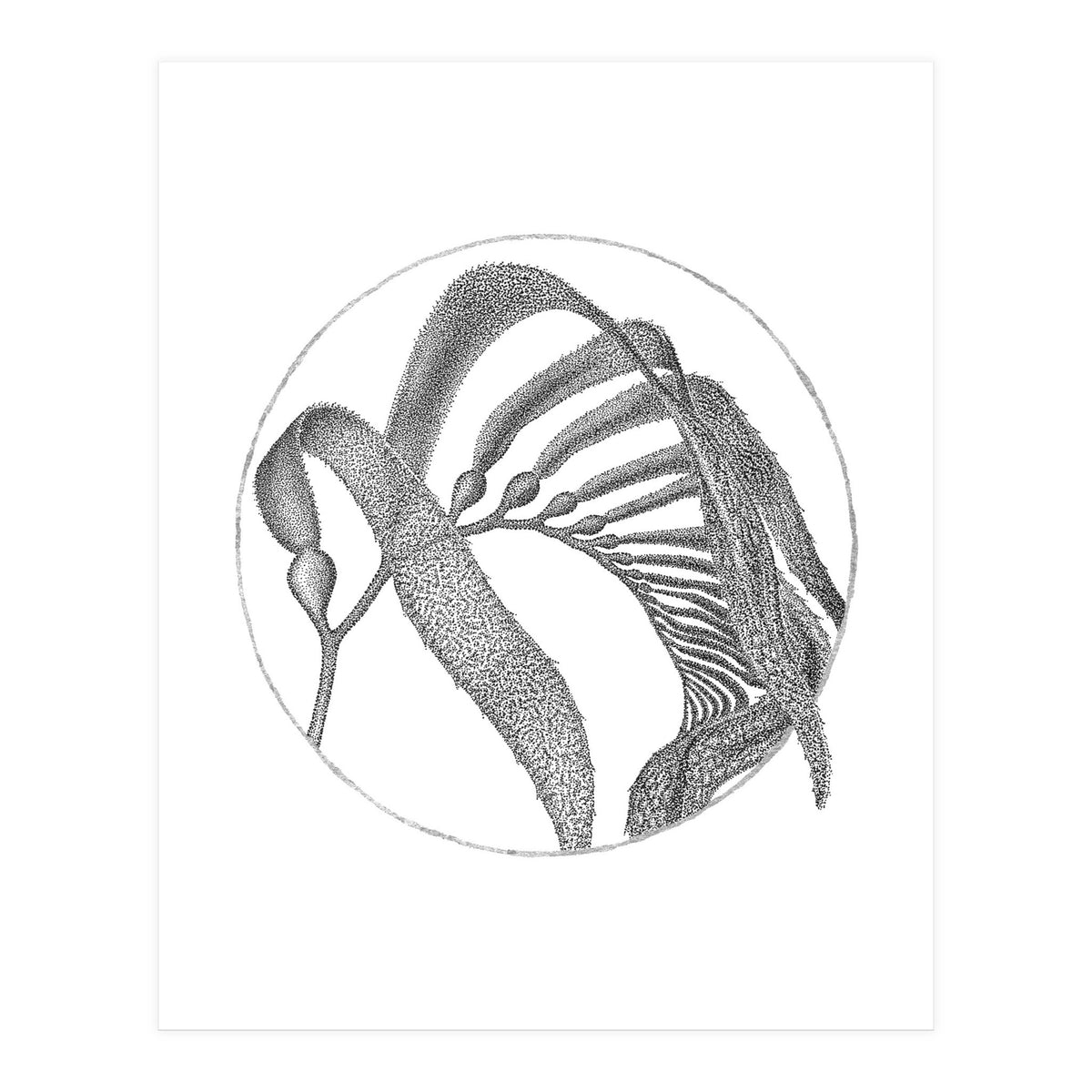 P.O. Blue Carbon (Print Only)