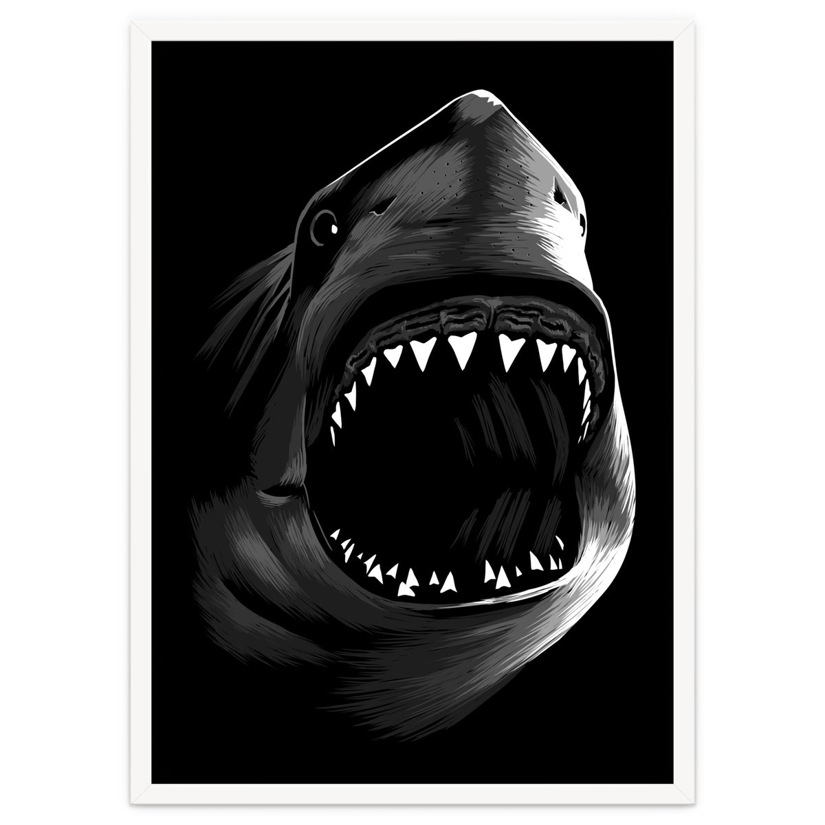 Megalodon