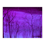 Forest Light (Print Only) thumbnail