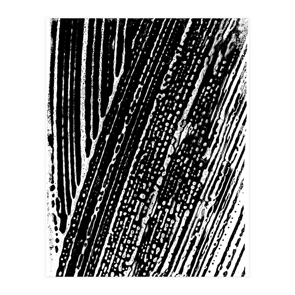 Dizzy 2 (Print Only)