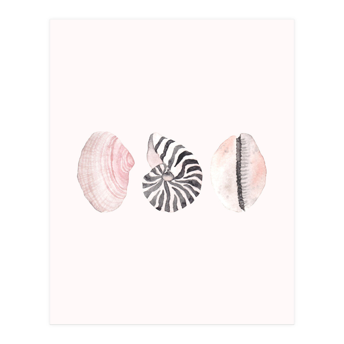 Seashells (Print Only)