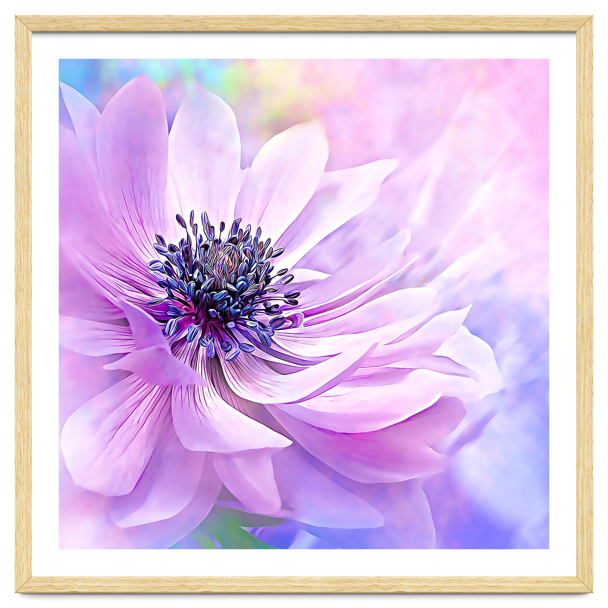 Wispy Purple Anemone