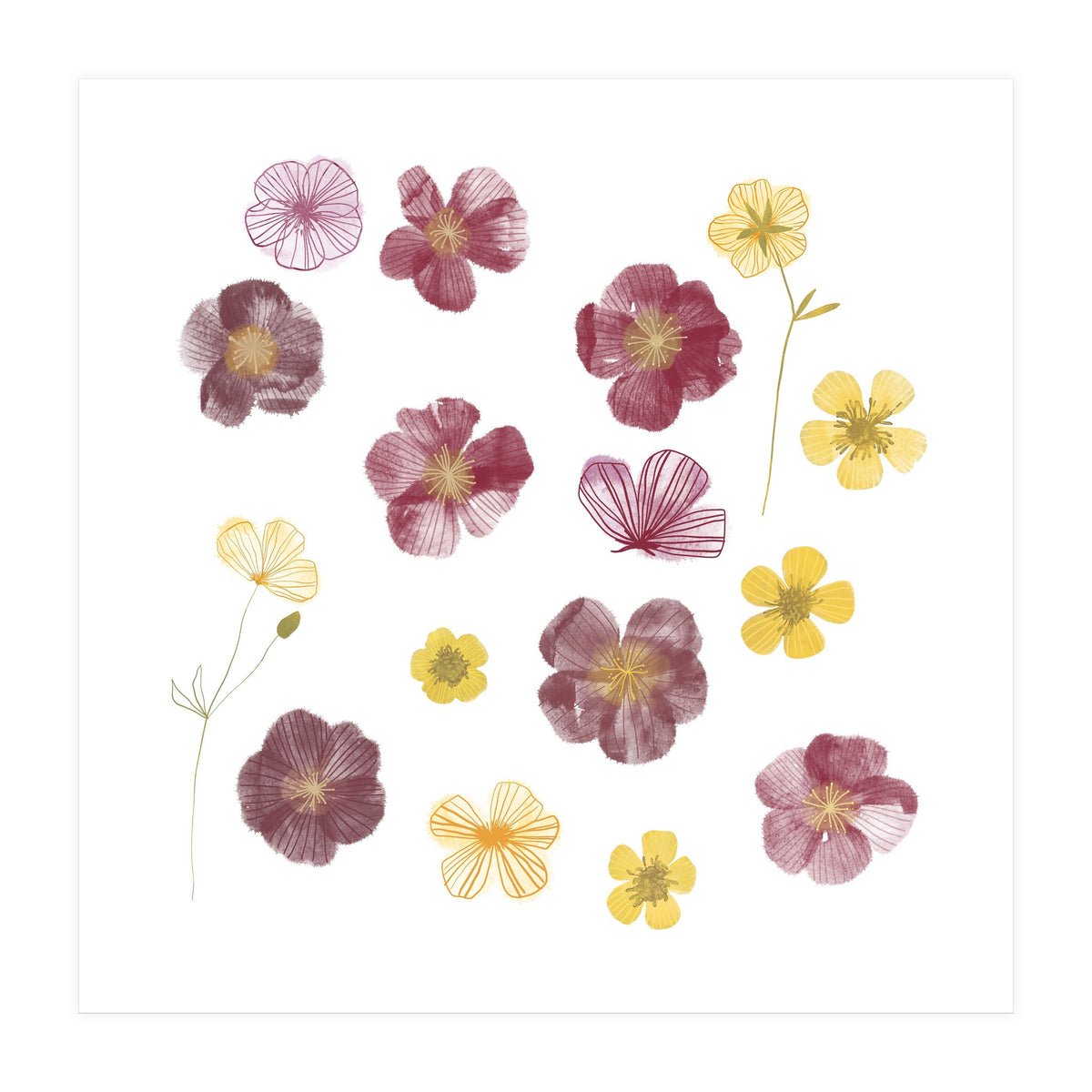 Pressed Flowers (Print Only)
