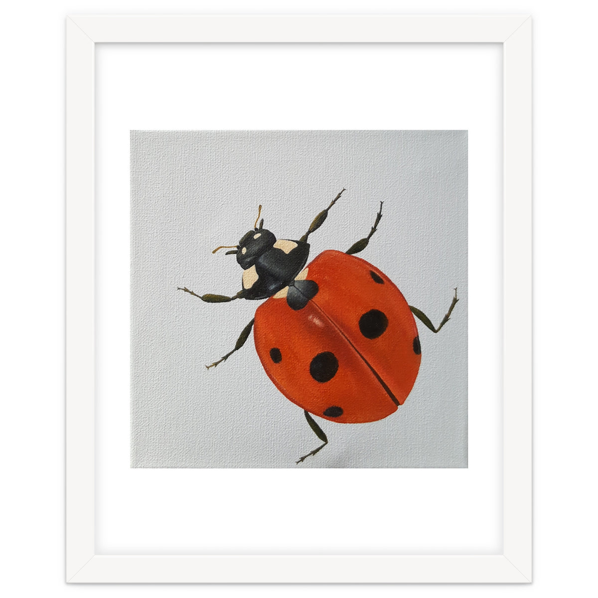 Ladybird