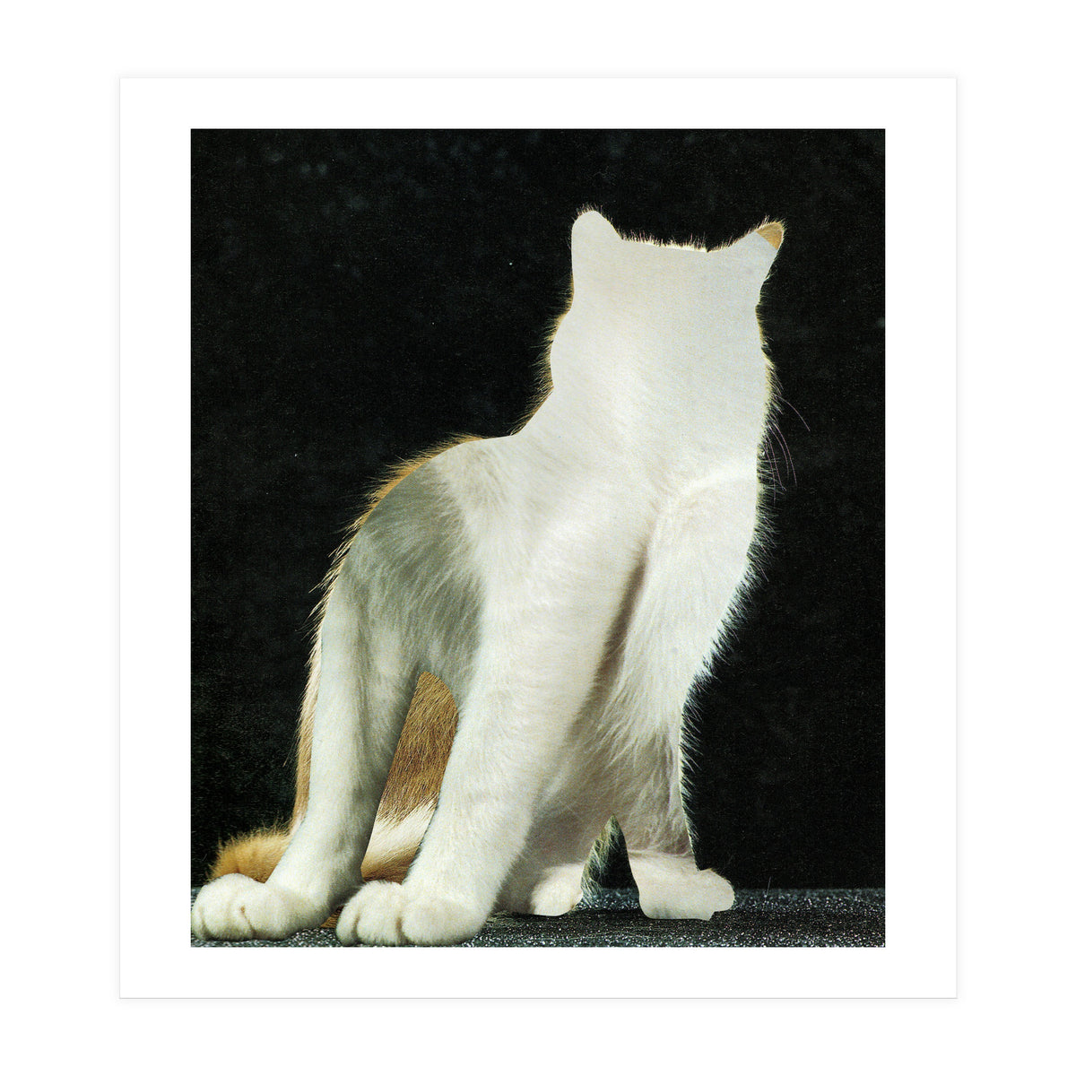 KatzenJammer 11 (Print Only)