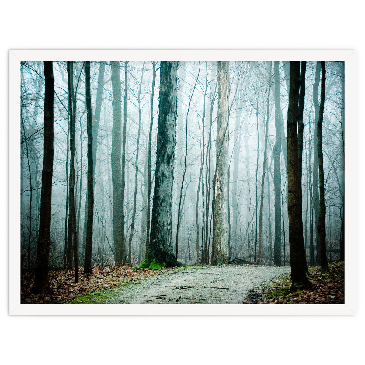 Gather Up Your Dreams