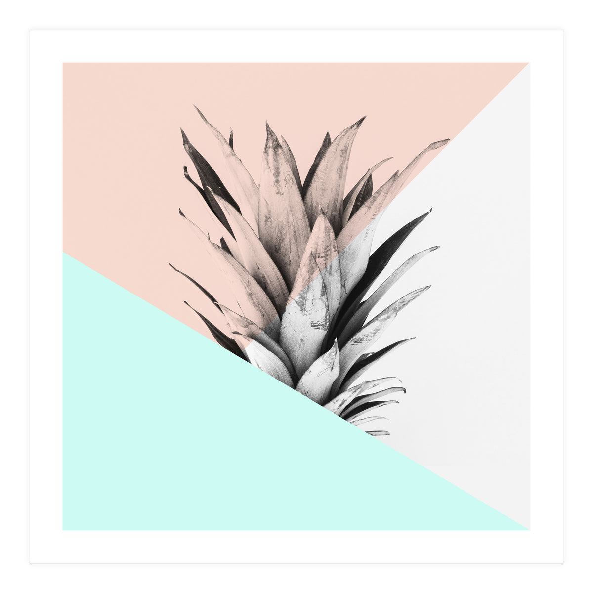 Scandinavian pineapple I (Print Only)