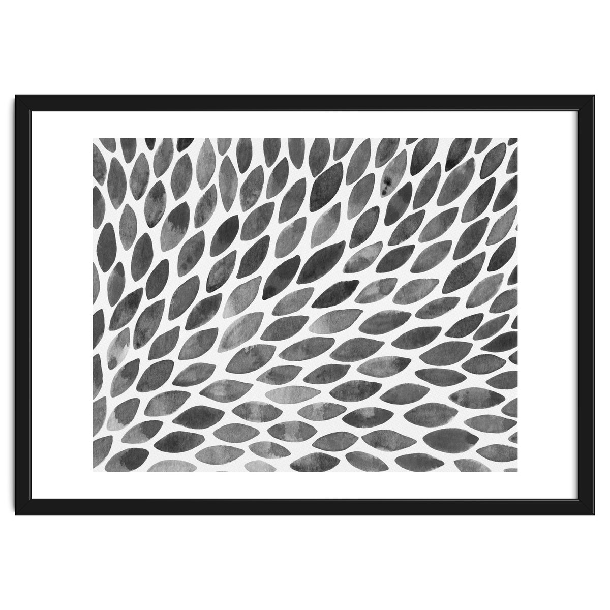 Black and white petal burst