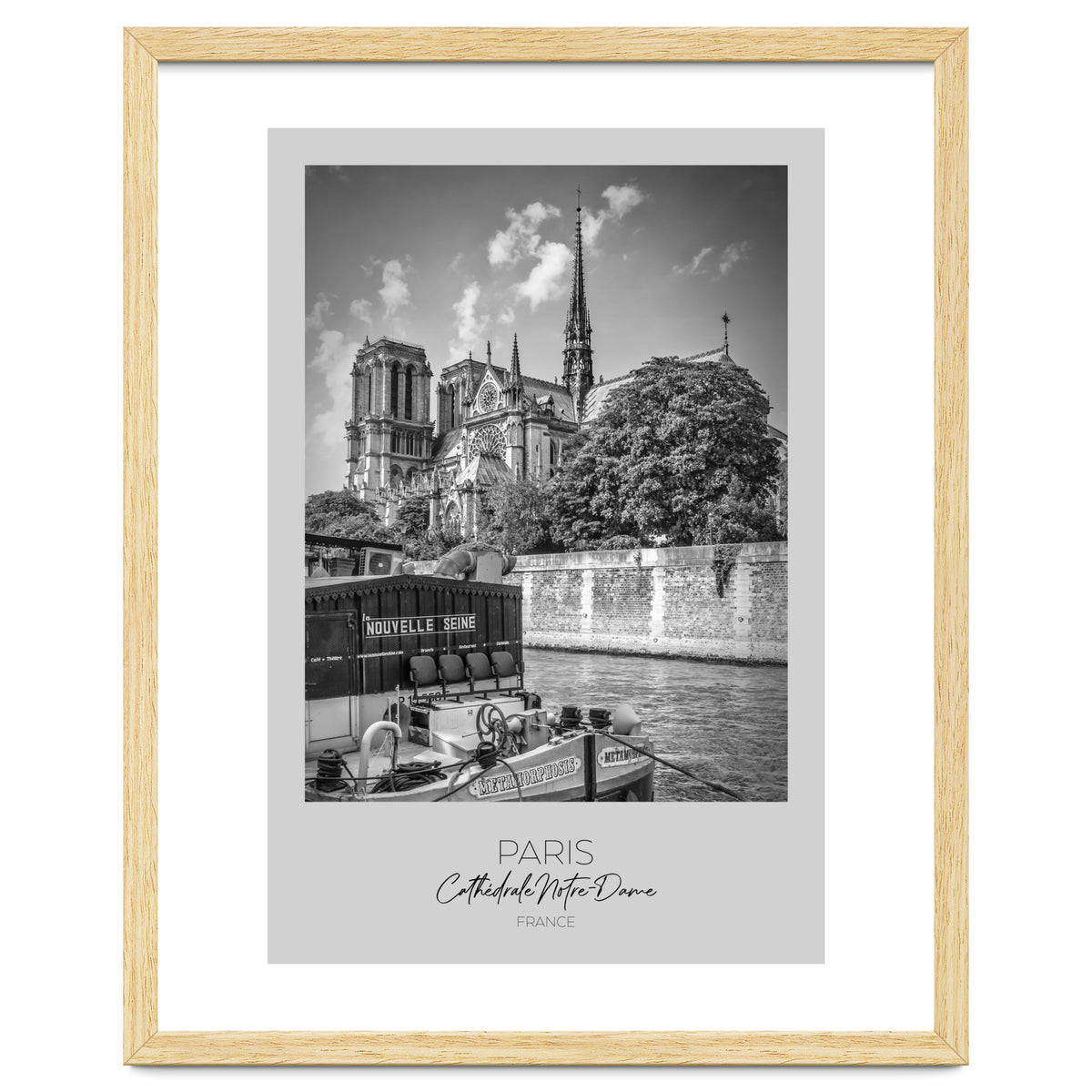 In focus: PARIS Cathedral Notre-Dame