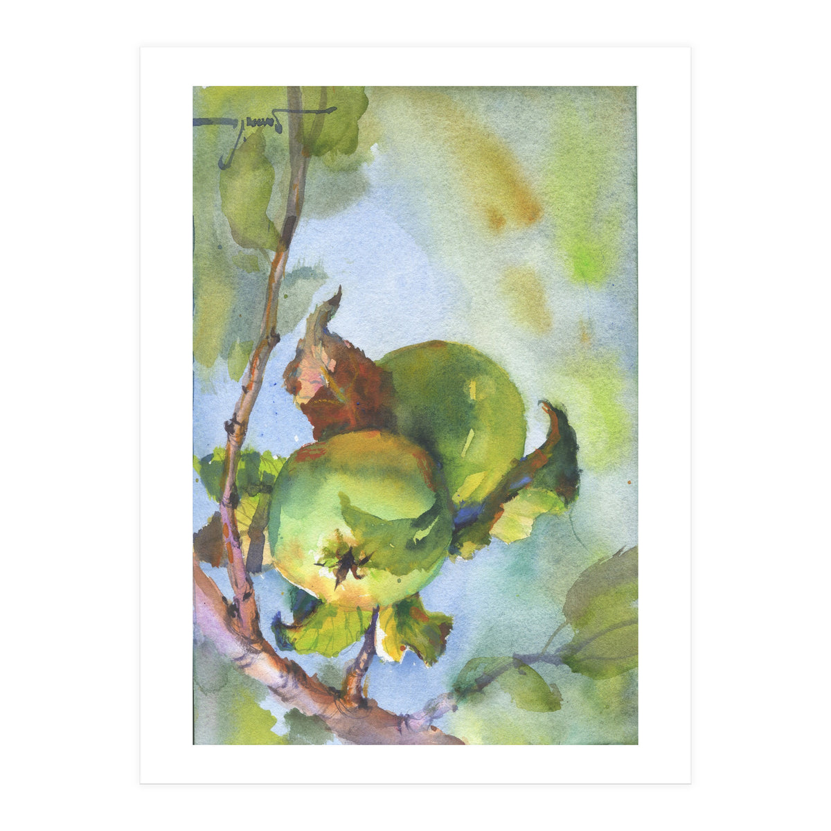 Apples on a branch (Print Only)
