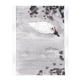 Swan (Print Only) thumbnail