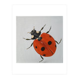 Ladybird  (Print Only) thumbnail