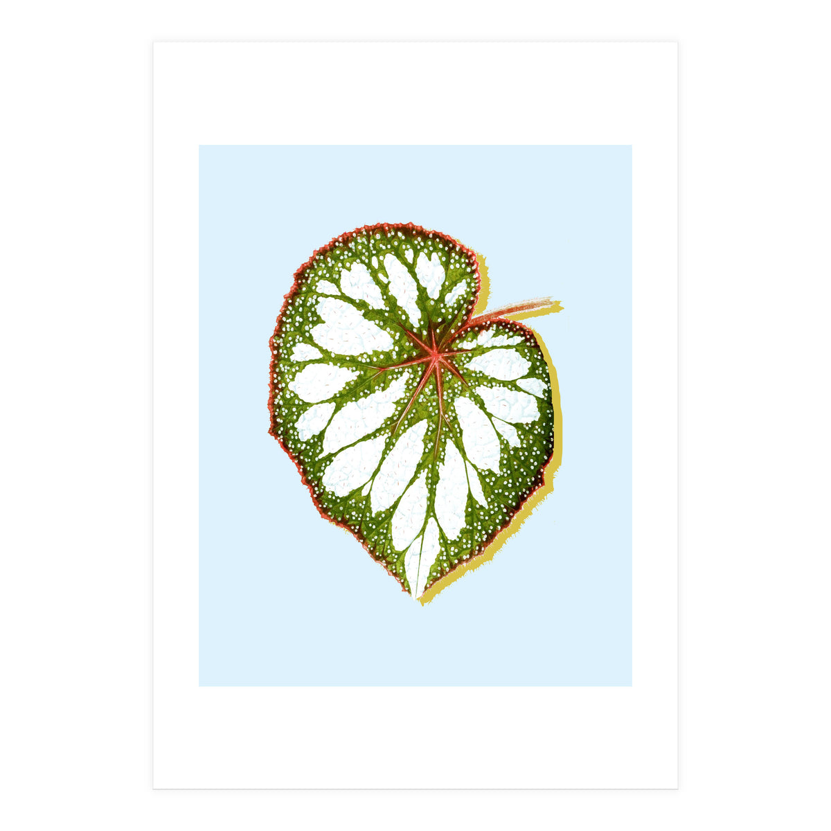 Prodigy (Print Only)