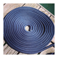 Blue rope coil (Print Only)