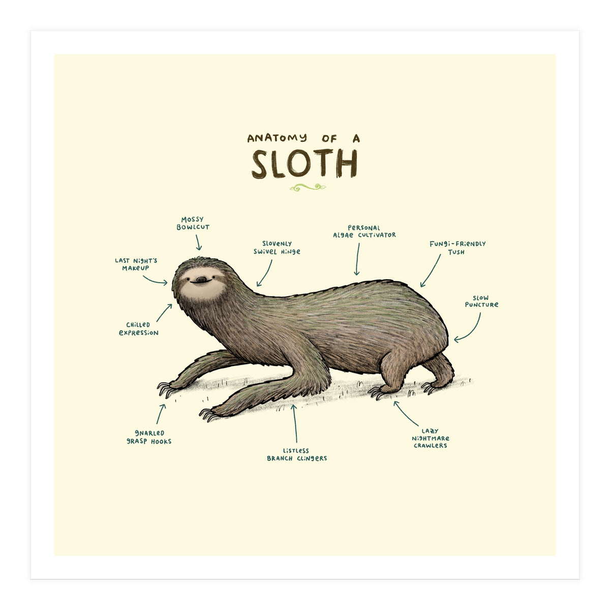 Anatomy Of A Sloth (Print Only)