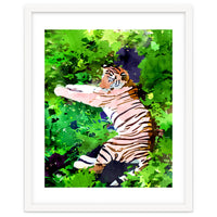 Blush Tiger