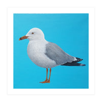 Seagull (Print Only)