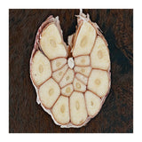 Garlic Italian Cuisine (Print Only) thumbnail