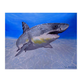 Formidable Beauty (Print Only) thumbnail