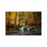 Selkewaterfal (Print Only) thumbnail