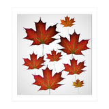 Autumn  leaves (Print Only) thumbnail