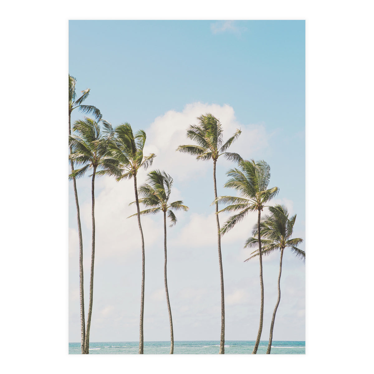 Tropical Palm Trees (Print Only)