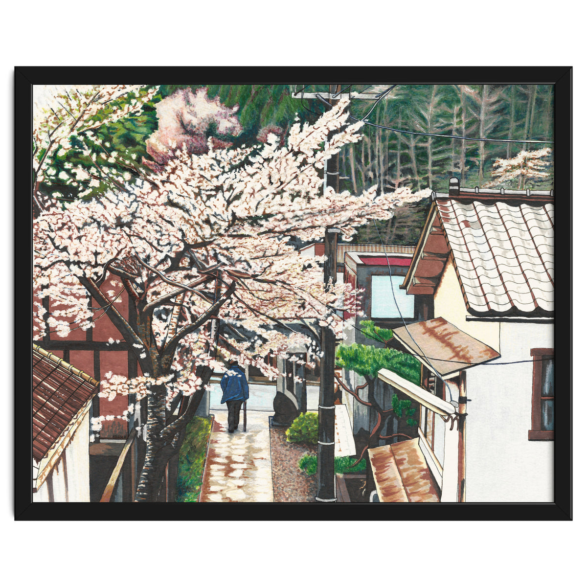 Passing by Cherry Blossoms