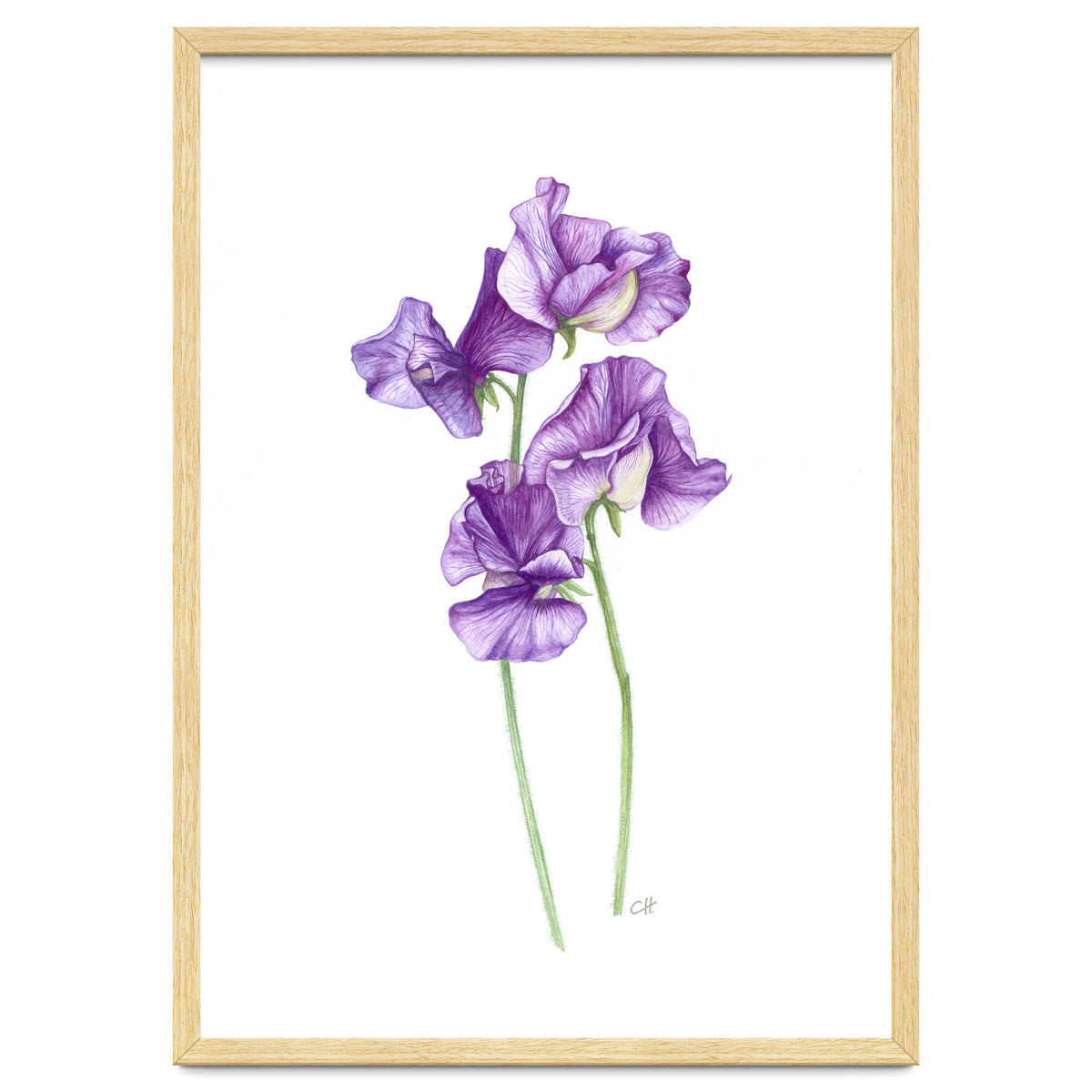 A Purple Posy Of Sweet Peas