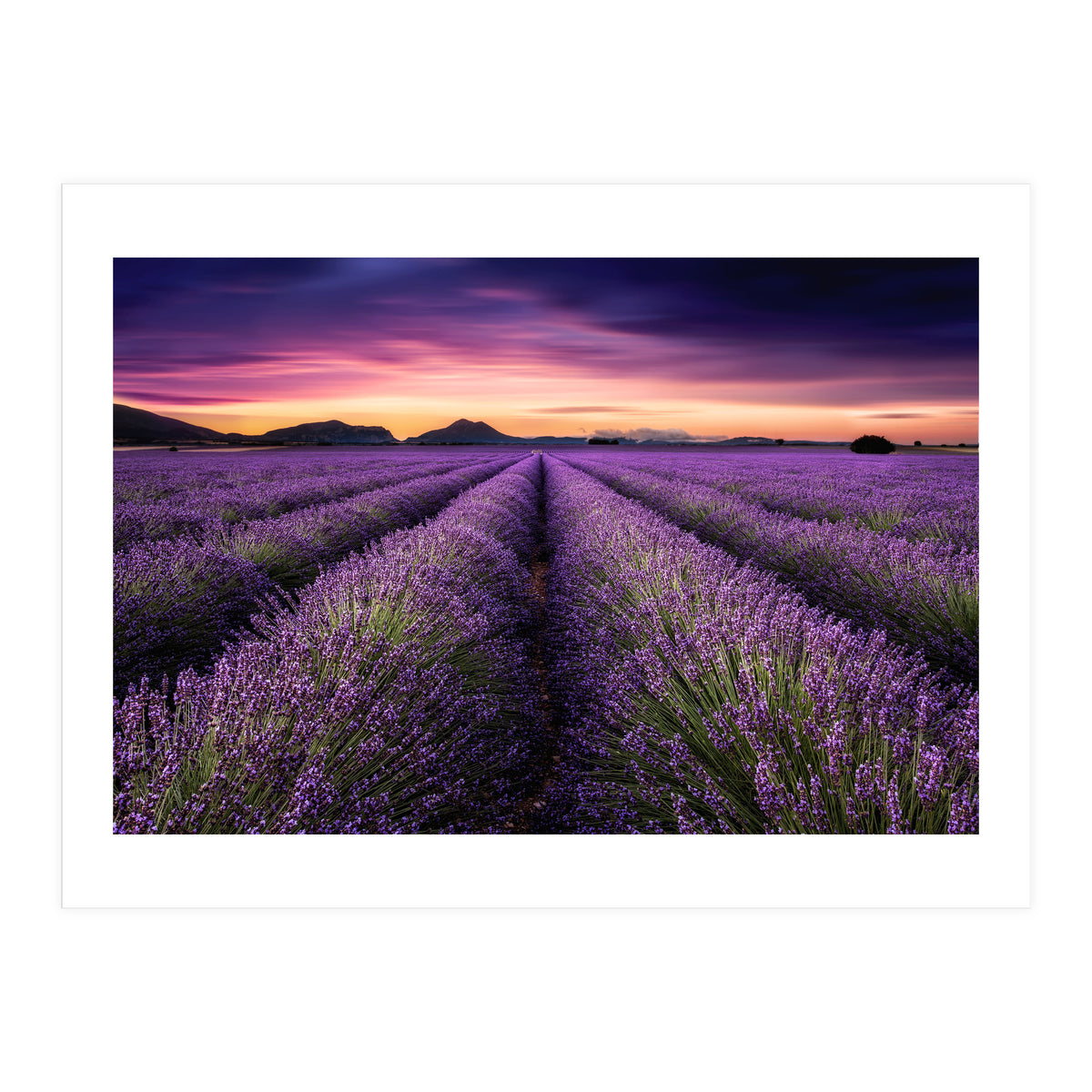 Mindfulness (Print Only)