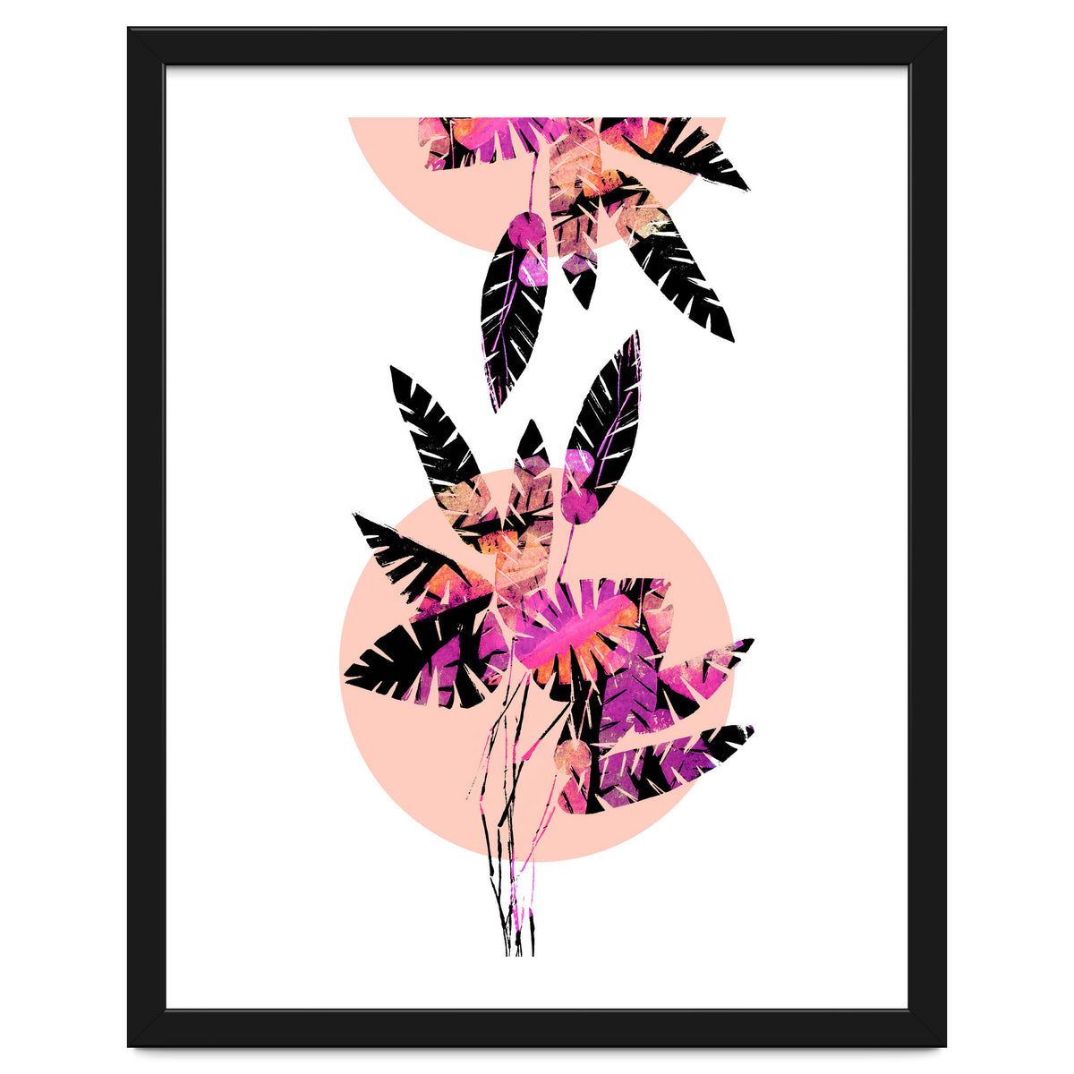 Pink Plants on Coral