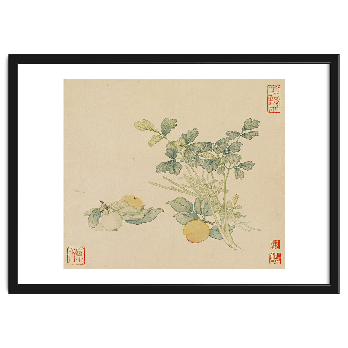 Wang Chengyu~flowers And Vegetables, Vegetables, Fruits, Plums, Apricots, Celery