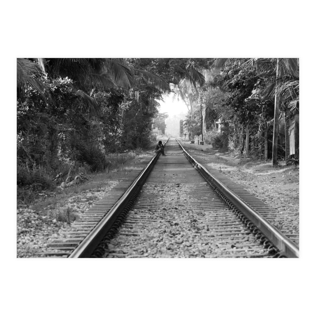 Colombo, Sri Lanka (Print Only)